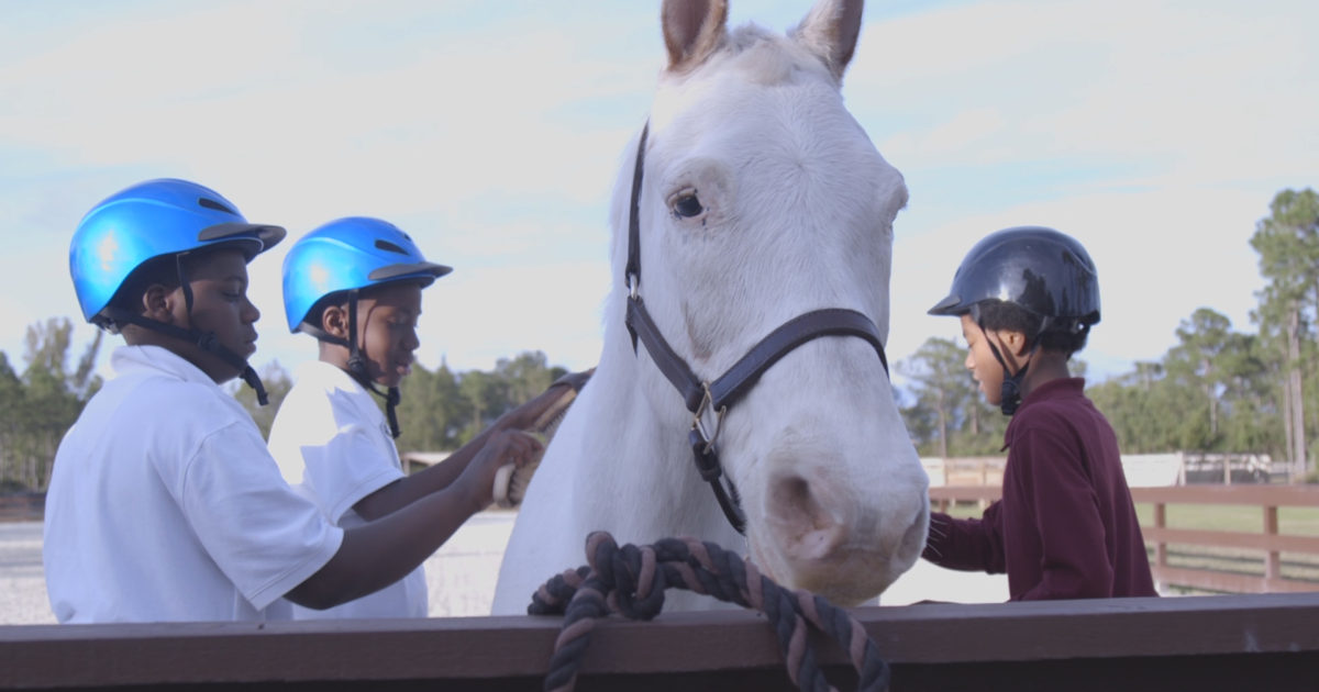 Horse Yoga with Tash & Cloud9 Mandalay Farms Jupiter, FL