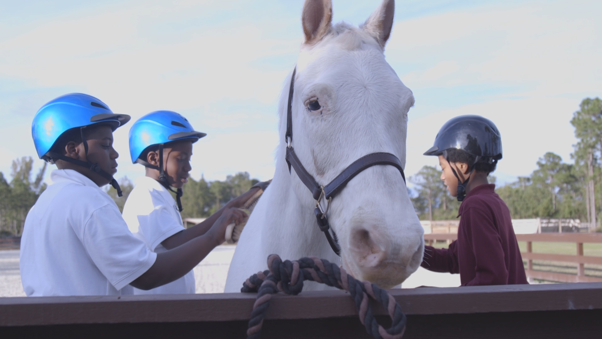 Equine Assisted Learning Program Mandalay Farms Jupiter, FL