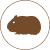 icon-guinea-pig-circle