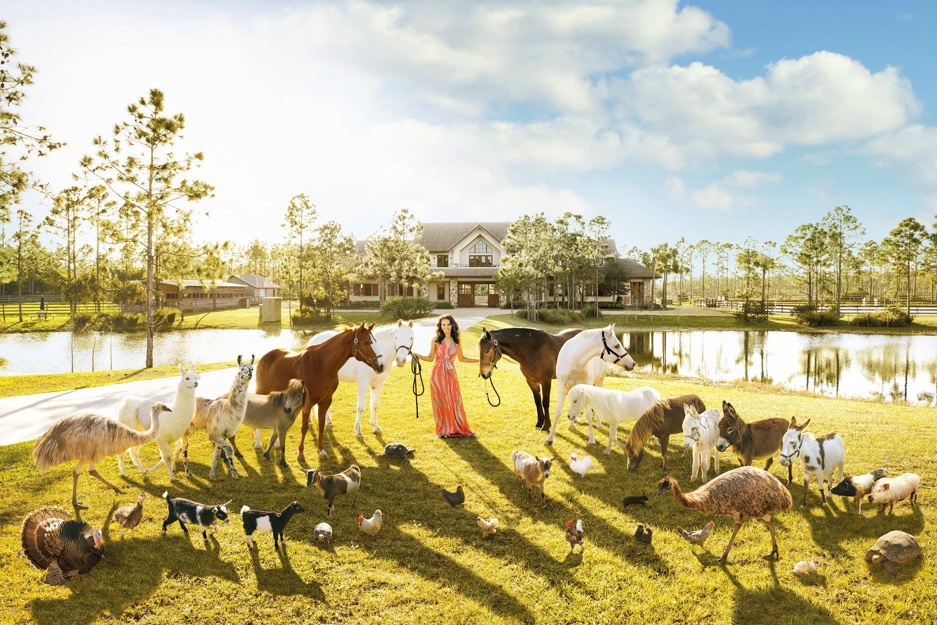 Mandalay Farms | Jupiter, FL logo