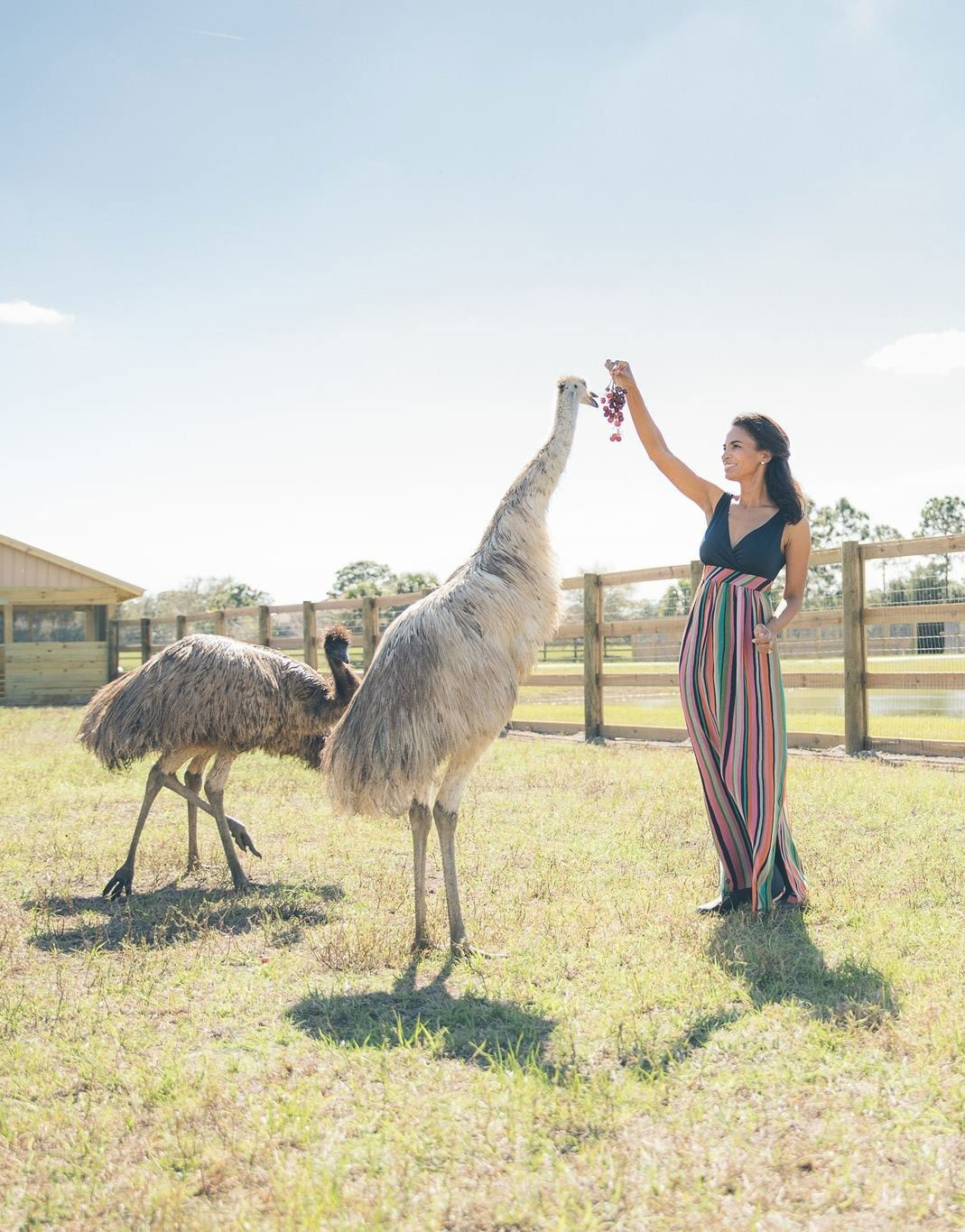 Karin with her Emus